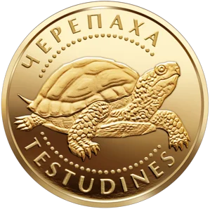 "Черепаха" у футлярі