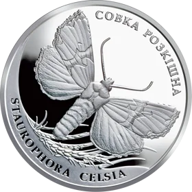 "Совка розкішна" у футлярі