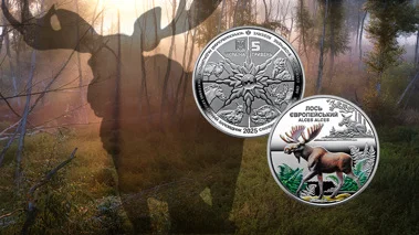 Чорнобиль. Відродження. Лось європейський