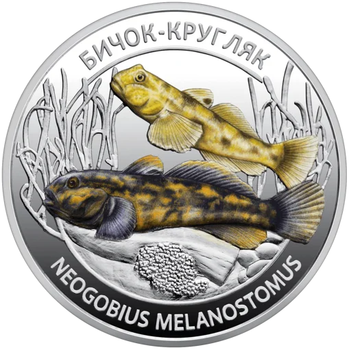 Набір із двох пам`ятних монет `Мешканці морських глибин` у сувенірному пакованні (н)