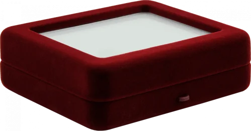 Футляр з прозорою кришкою для інвестиційних монет