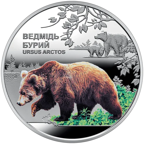 Чорнобиль. Відродження. Ведмідь бурий (н)