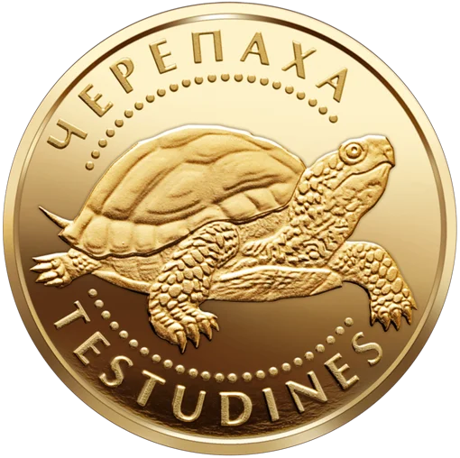 "Черепаха" у футлярі