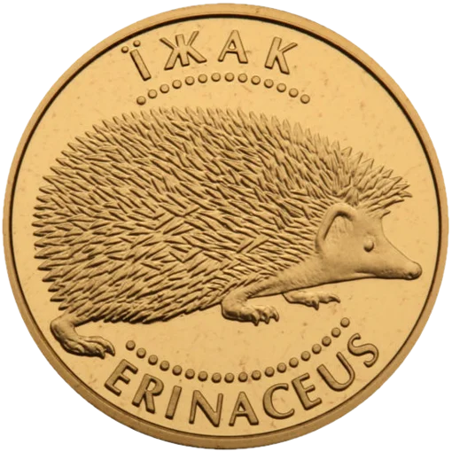 "Їжак" у футлярі