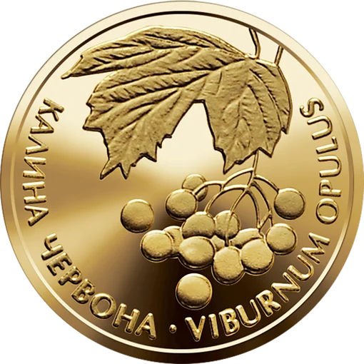 "Калина червона" у футлярі