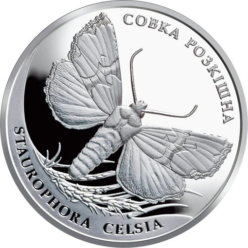 "Совка розкішна" у футлярі