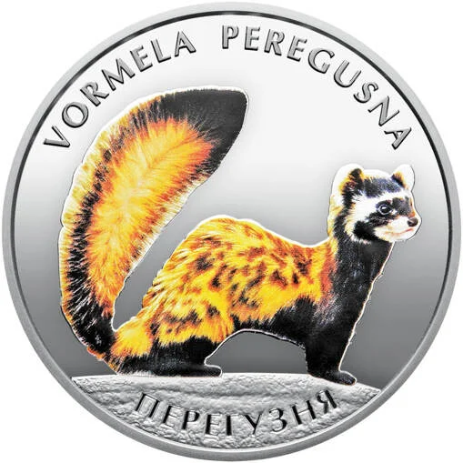 "Перегузня" у футлярі